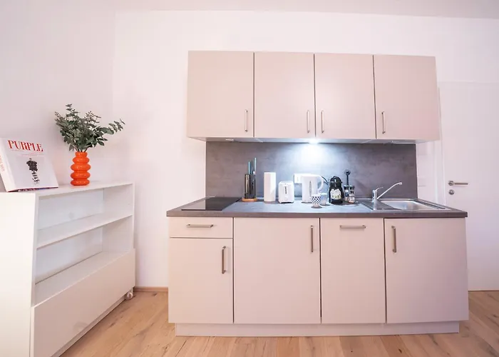 Apartamento Premium Apartments, 10min To The Center, Kitchen, No Elevator Viena